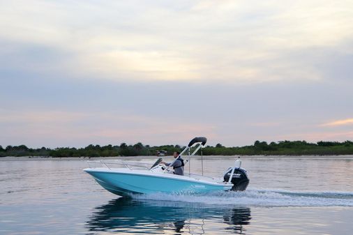 Boston-whaler 160-SUPER-SPORT image