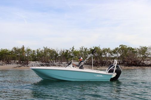 Boston-whaler 160-SUPER-SPORT image