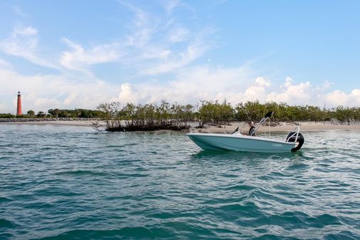 Boston-whaler 160-SUPER-SPORT image