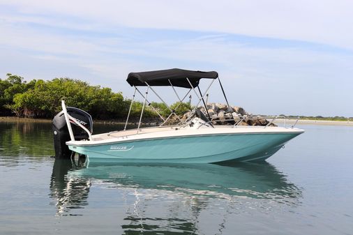 Boston-whaler 160-SUPER-SPORT image