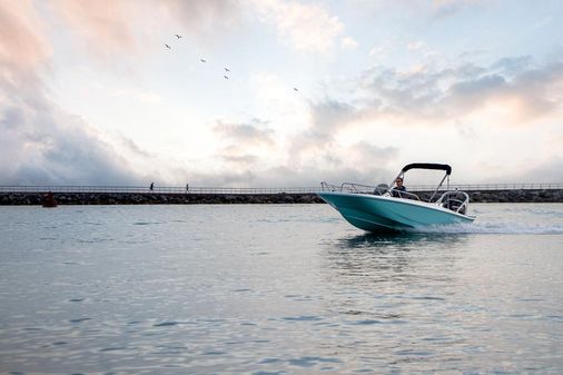 Boston-whaler 160-SUPER-SPORT image