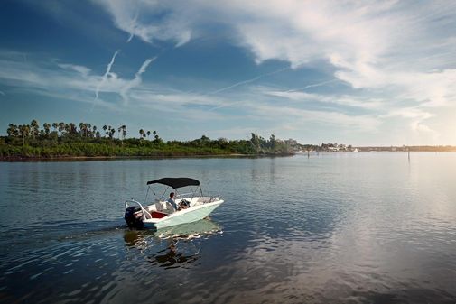 Boston-whaler 160-SUPER-SPORT image