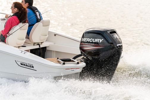 Boston-whaler 160-SUPER-SPORT image