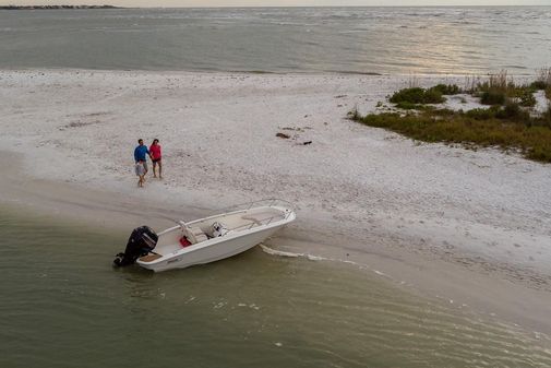 Boston-whaler 160-SUPER-SPORT image