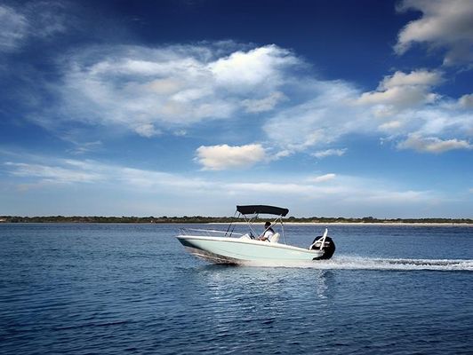 Boston-whaler 160-SUPER-SPORT - main image