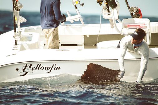 Yellowfin 29 Offshore image