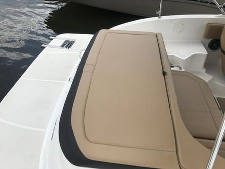 Sea-ray SPX-190- image