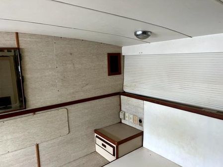 Bertram 42-FLYBRIDGE-MOTOR-YACHT image