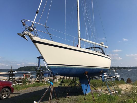 Canadian-sailcraft 36 - main image