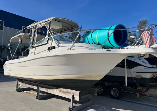 Robalo 2440-WALKAROUND image