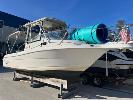 Robalo 2440-WALKAROUND image