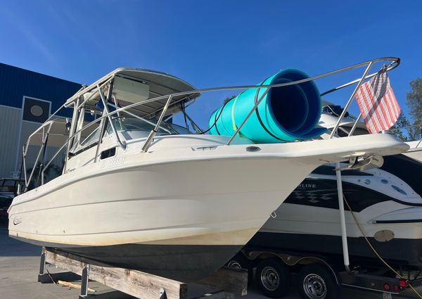 Robalo 2440-WALKAROUND image