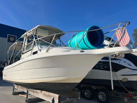 Robalo 2440-WALKAROUND image