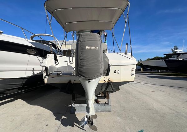 Robalo 2440-WALKAROUND image