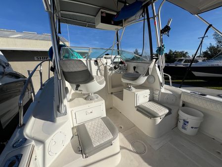 Robalo 2440-WALKAROUND image