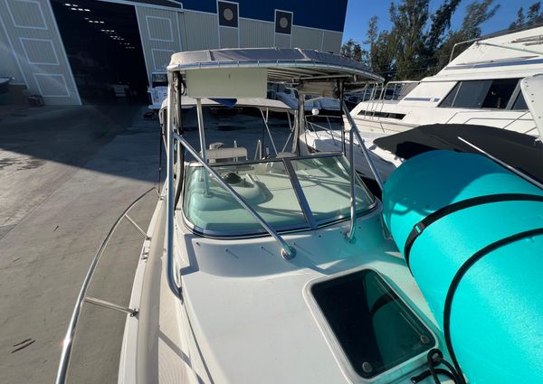 Robalo 2440-WALKAROUND image