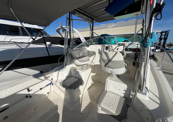 Robalo 2440-WALKAROUND image