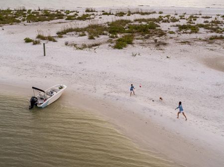 Boston-whaler 130-SUPER-SPORT image