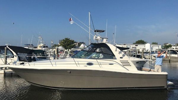 Sea Ray Amberjack