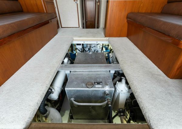 Custom Carolina 41 Ricky Scarborough image