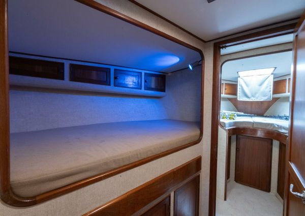 Custom Carolina 41 Ricky Scarborough image