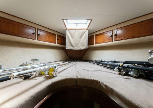 Custom Carolina 41 Ricky Scarborough image