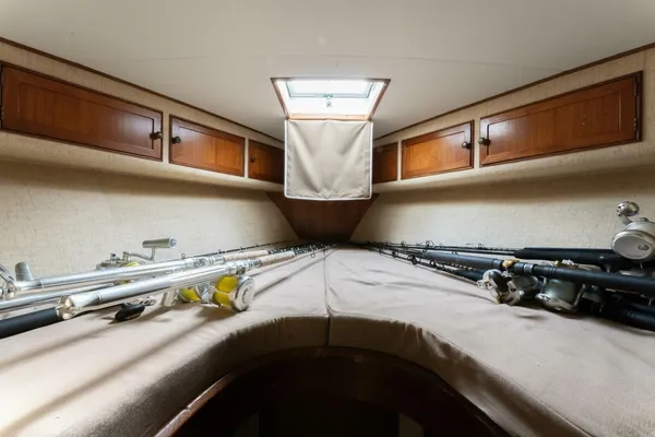 Custom Carolina 41 Ricky Scarborough image