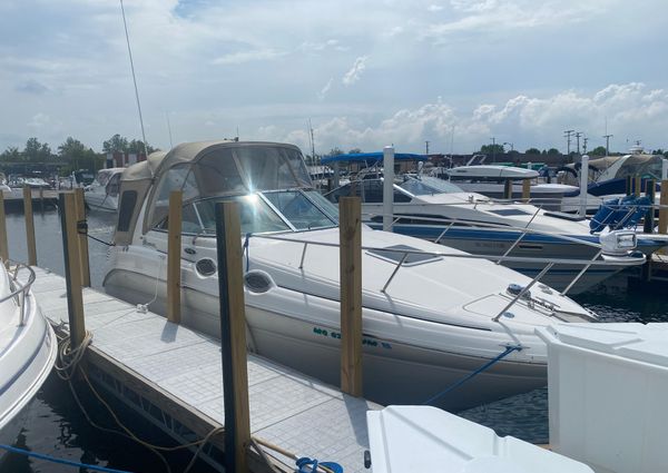 Sea Ray 260 Sundancer image