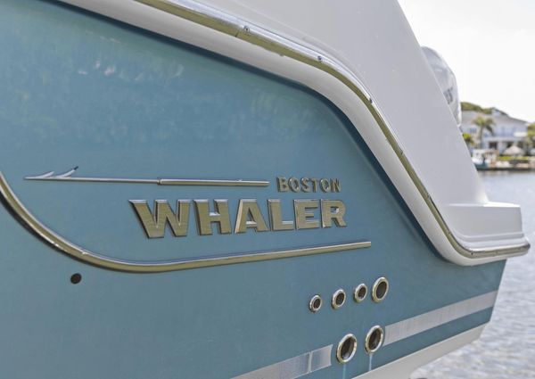 Boston Whaler 350 Realm image