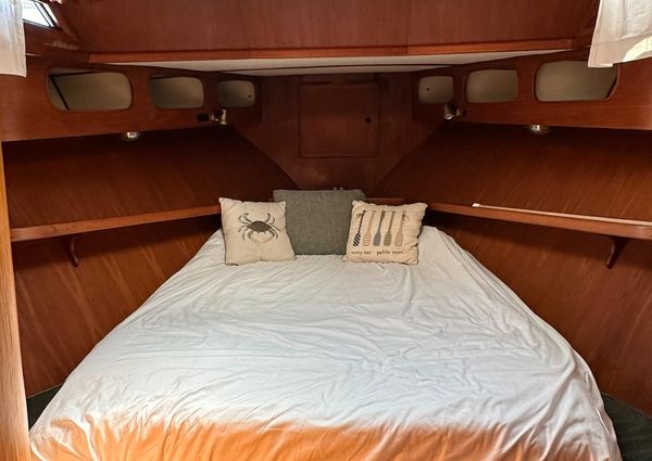 President 43 Double Cabin image