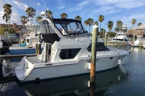Carver 374 Voyager image