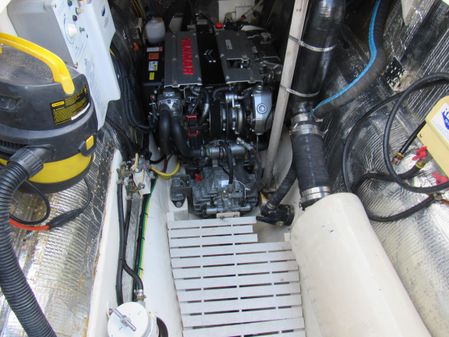 Maine Cat P-47 Power Cat image