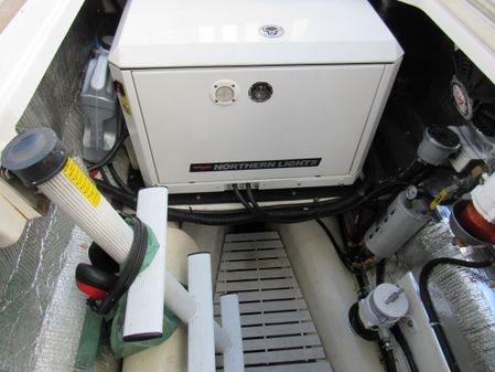 Maine Cat P-47 Power Cat image