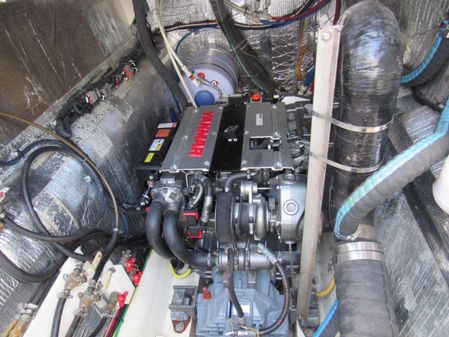 Maine Cat P-47 Power Cat image