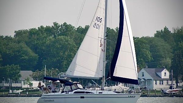 Catalina 309 
