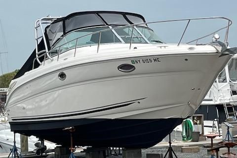 Sea-ray 290-AMBERJACK image