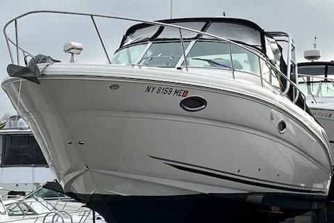 Sea-ray 290-AMBERJACK image