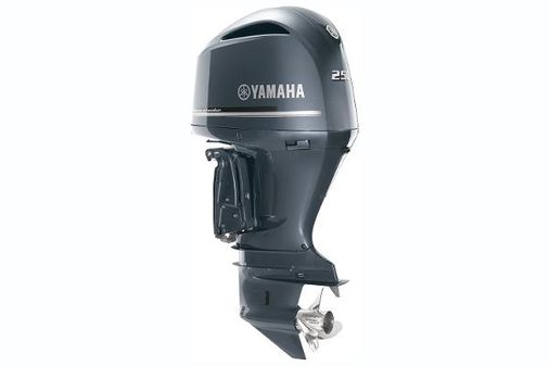 Yamaha Outboards F250 image