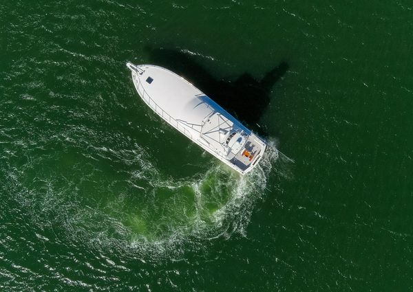 Hatteras 60 Convertible image