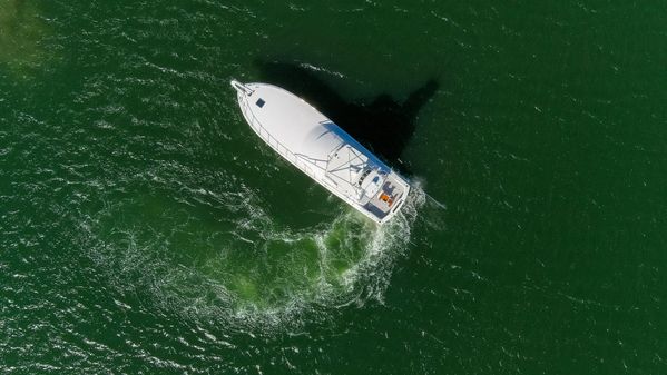 Hatteras 60-CONVERTIBLE image