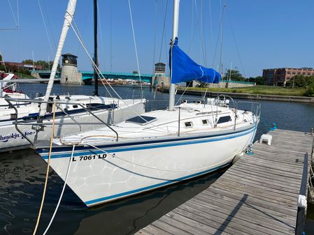 Hunter 31 image