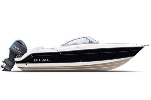 Robalo R247 Dual Console image