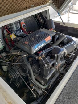 Sea Ray 310 Sport Bridge image