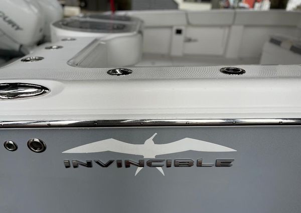 Invincible 40-CATAMARAN image