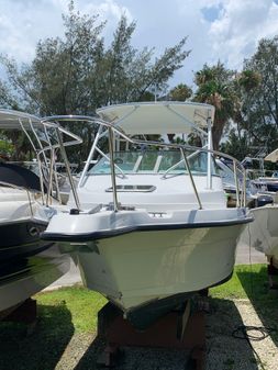 Robalo 2640 Walkaround image