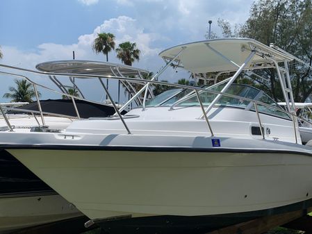 Robalo 2640 Walkaround image