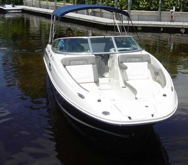 Sea Ray 260 Sundeck image