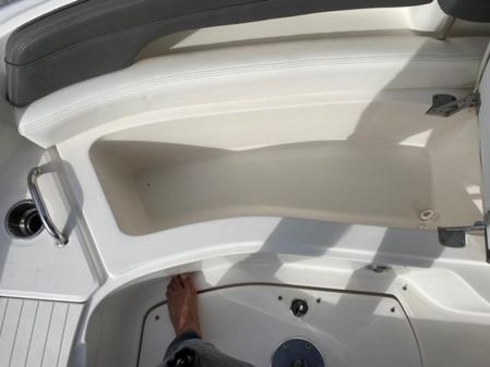 Sea Ray 260 Sundeck image