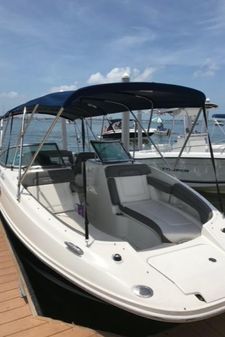 Sea Ray 260 Sundeck image