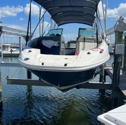 Sea Ray 260 Sundeck image